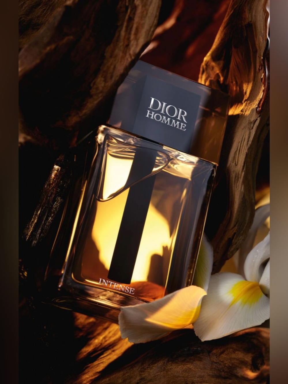 🌸DIOR Homme Intense Dabber Mini 10 mL x 2 - Picture 9 of 11